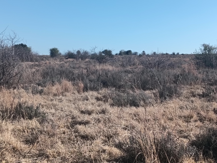 0 Bedroom Property for Sale in Sterkfontein A H Gauteng