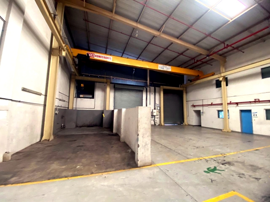 To Let Commercial Property for Rent in Randjespark Gauteng