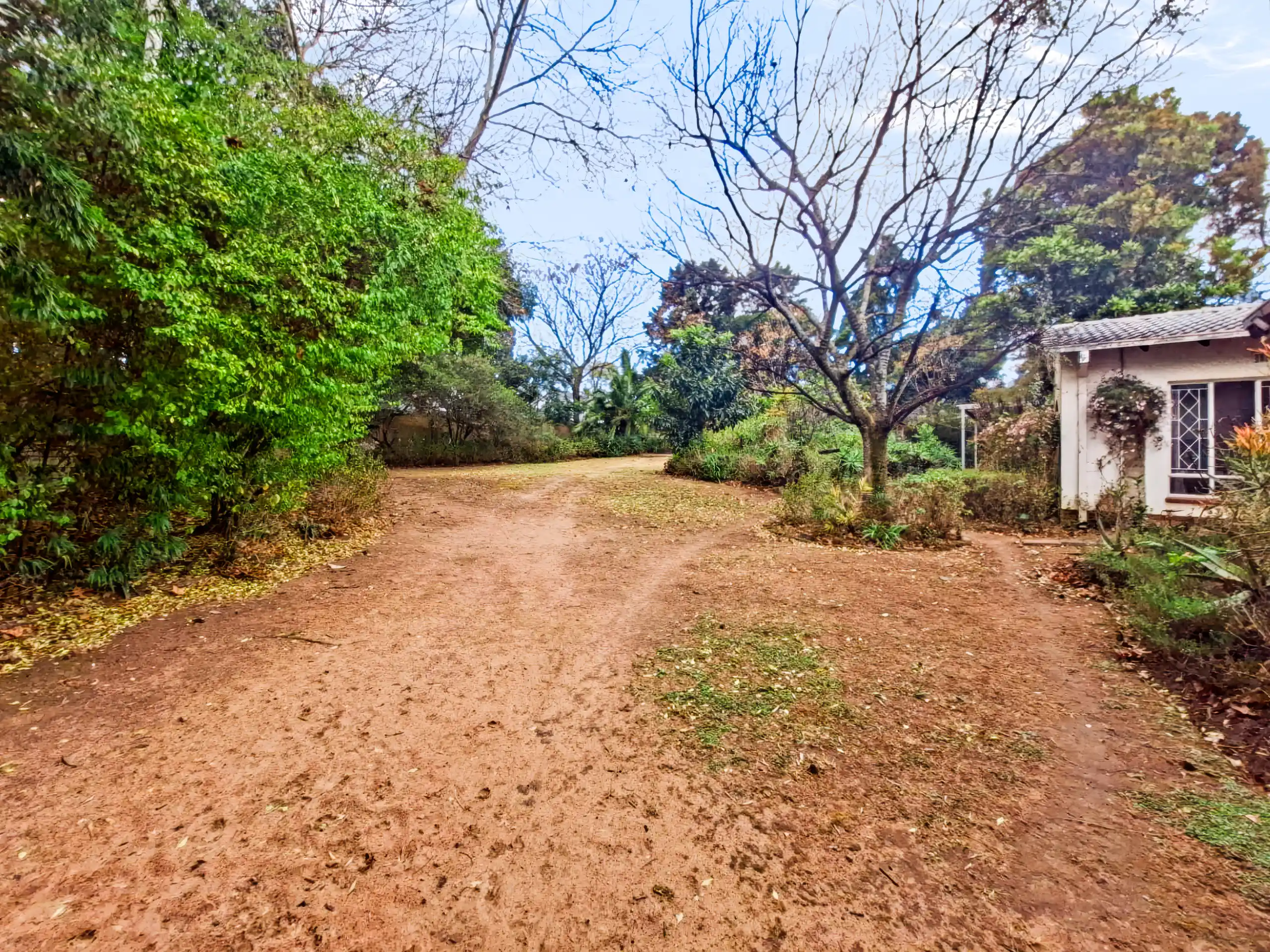To Let 4 Bedroom Property for Rent in Fourways Gauteng