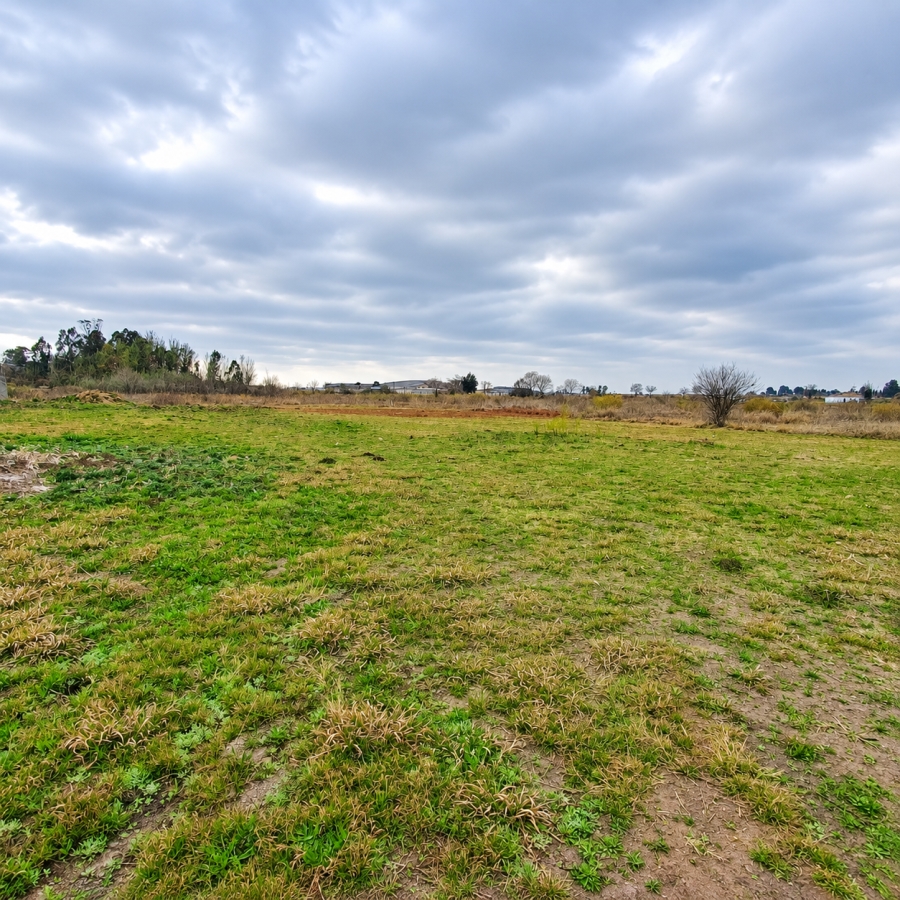 0 Bedroom Property for Sale in Henley on Klip Gauteng