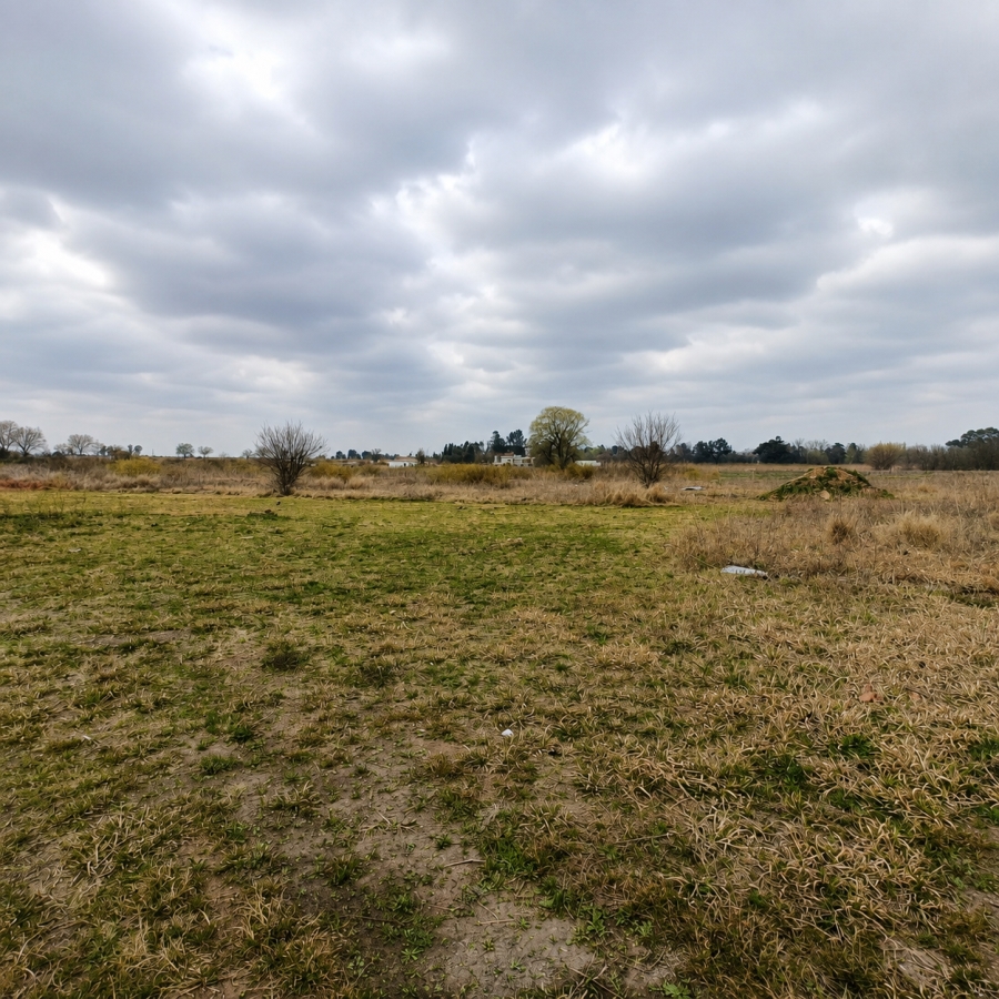 0 Bedroom Property for Sale in Henley on Klip Gauteng