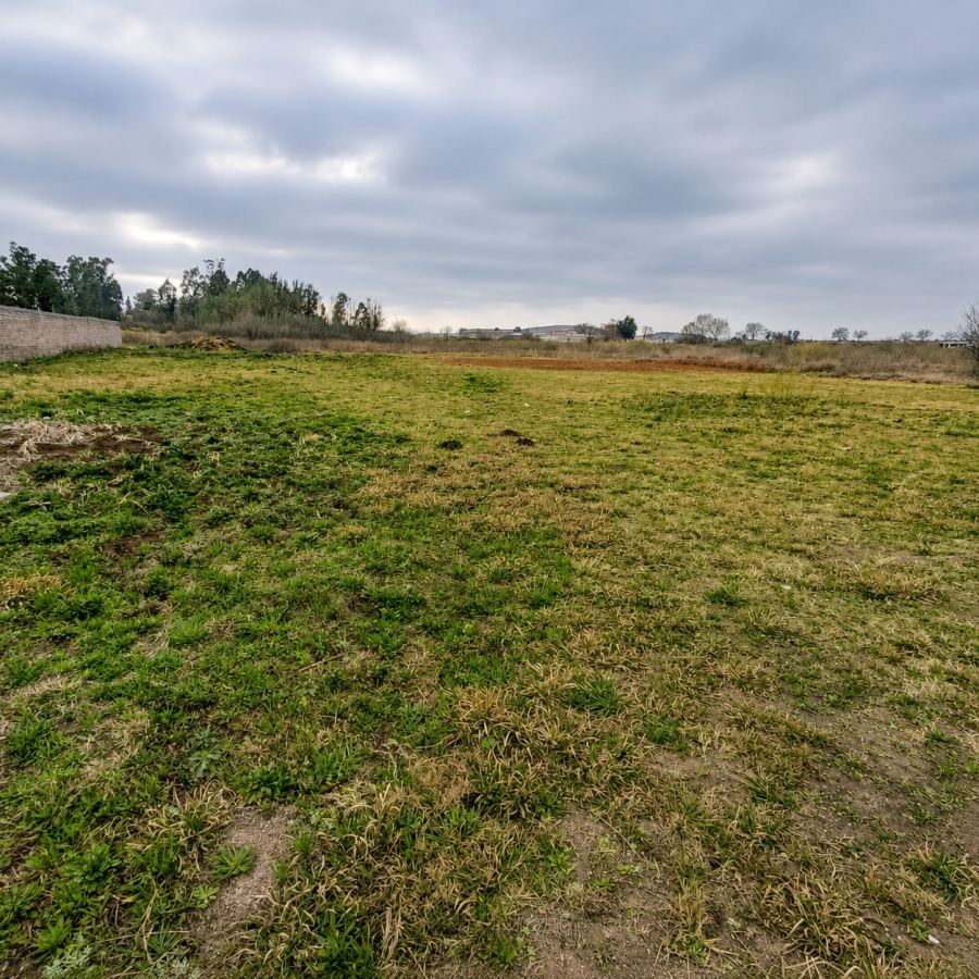 0 Bedroom Property for Sale in Henley on Klip Gauteng