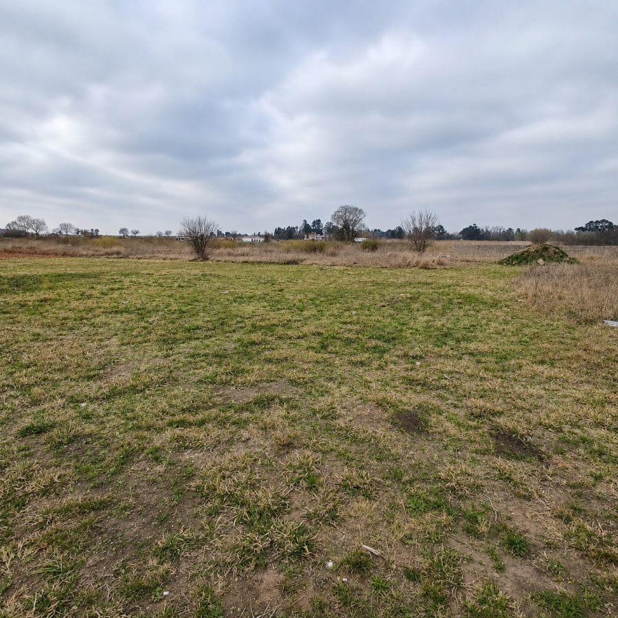 0 Bedroom Property for Sale in Henley on Klip Gauteng