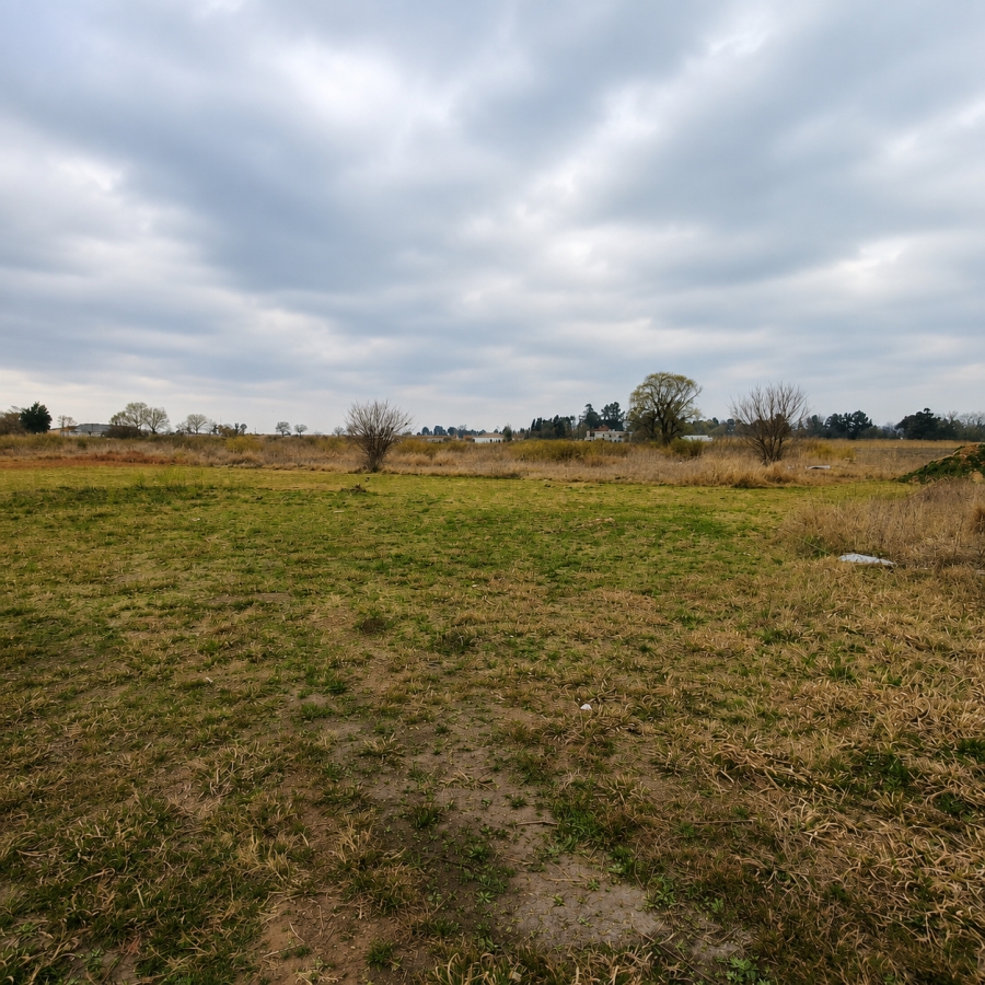 0 Bedroom Property for Sale in Henley on Klip Gauteng