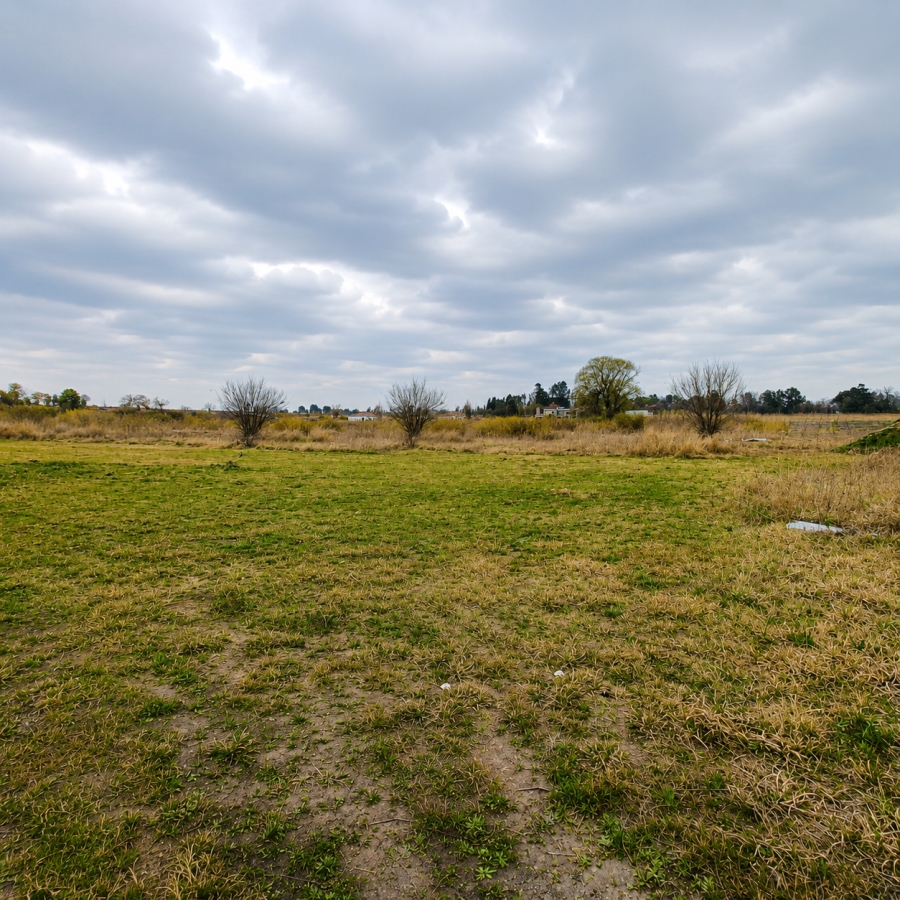 0 Bedroom Property for Sale in Henley on Klip Gauteng