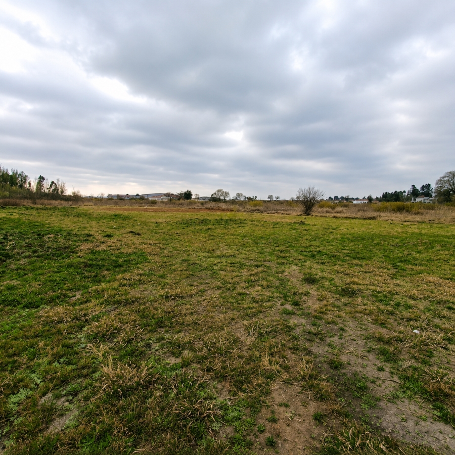 0 Bedroom Property for Sale in Henley on Klip Gauteng