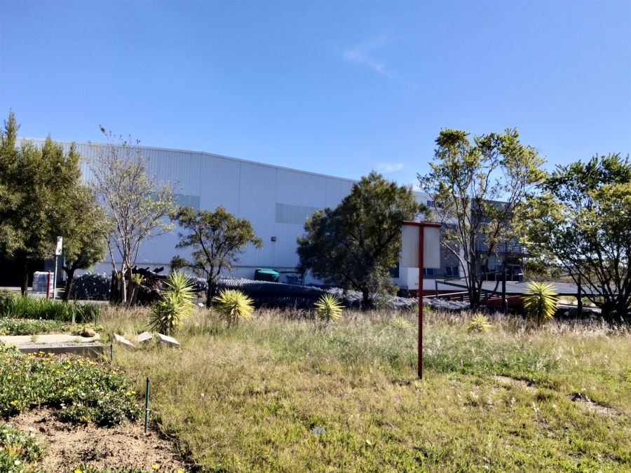 To Let Commercial Property for Rent in Lanseria Gauteng