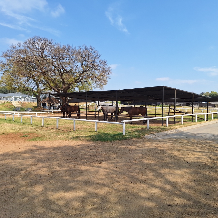 To Let Commercial Property for Rent in Wierda Valley Gauteng