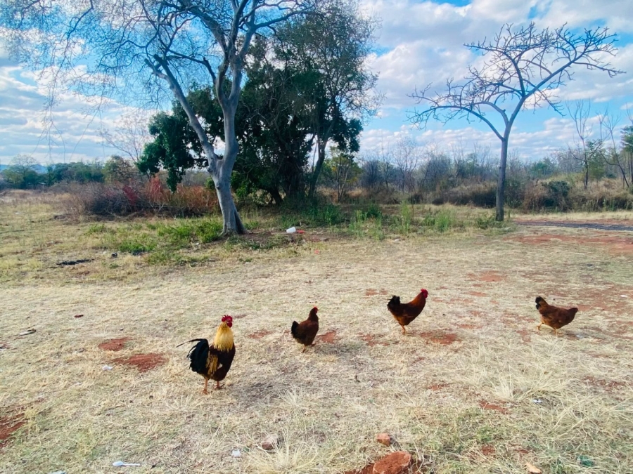 5 Bedroom Property for Sale in Vissershoek AH Gauteng