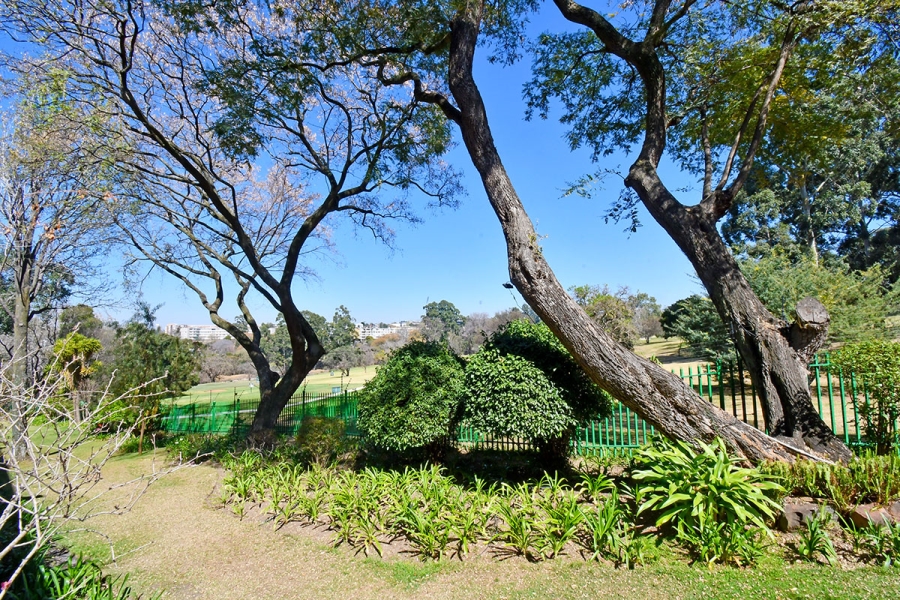 To Let 3 Bedroom Property for Rent in Eltonhill Gauteng