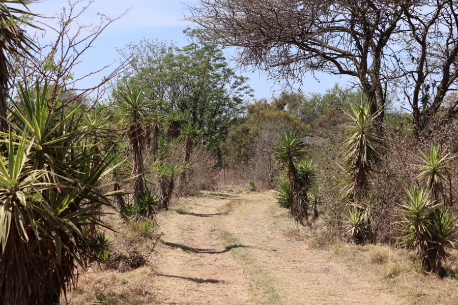 5 Bedroom Property for Sale in Kameelfontein Gauteng
