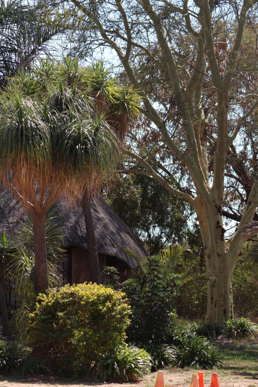 5 Bedroom Property for Sale in Kameelfontein Gauteng