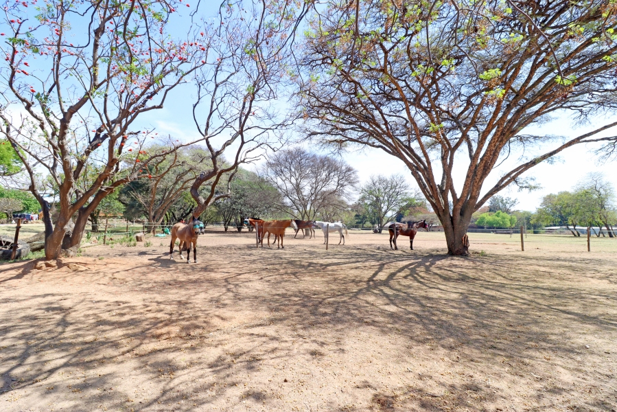 8 Bedroom Property for Sale in Mnandi Gauteng