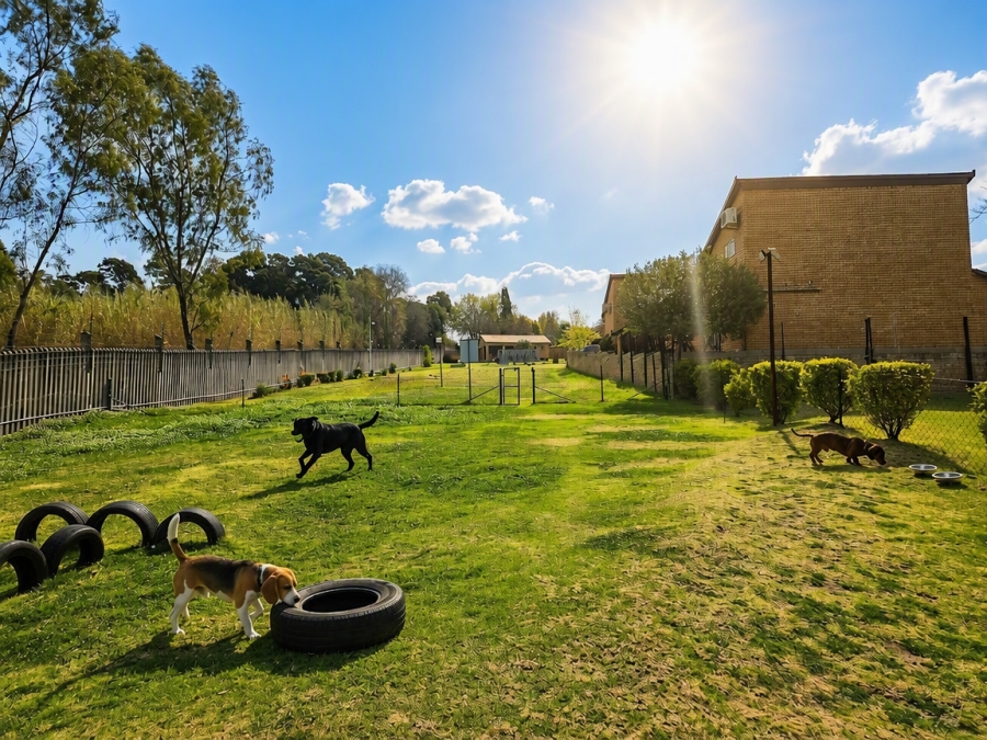 1 Bedroom Property for Sale in Olivedale Gauteng