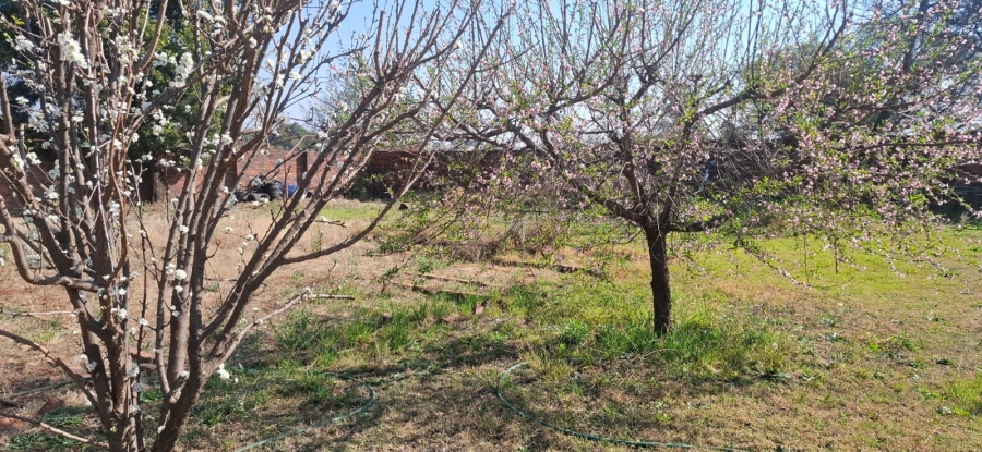 4 Bedroom Property for Sale in Benoni North Gauteng