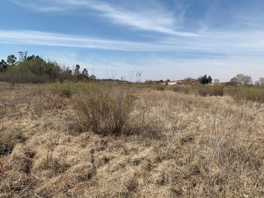0 Bedroom Property for Sale in Henley on Klip Gauteng