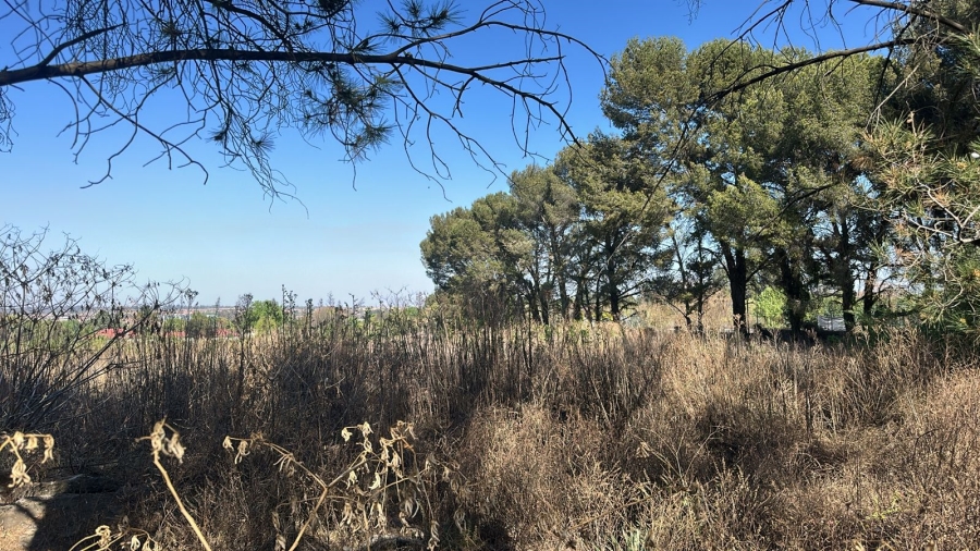 0 Bedroom Property for Sale in Raslouw A H Gauteng