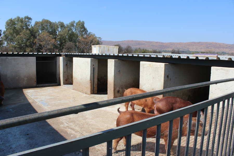 6 Bedroom Property for Sale in Swacina Park A H Gauteng