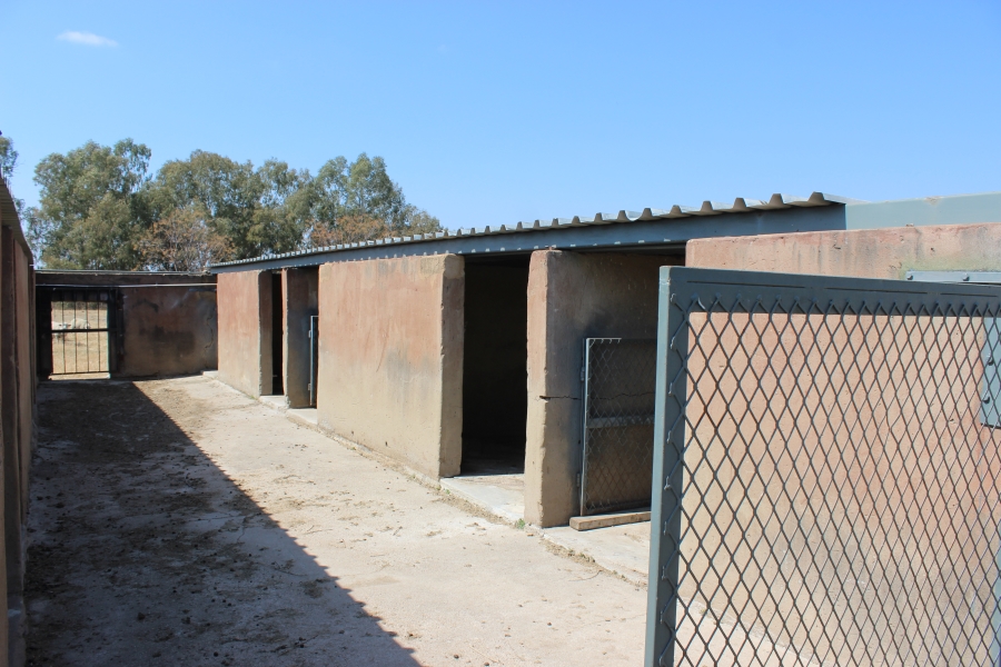 6 Bedroom Property for Sale in Swacina Park A H Gauteng