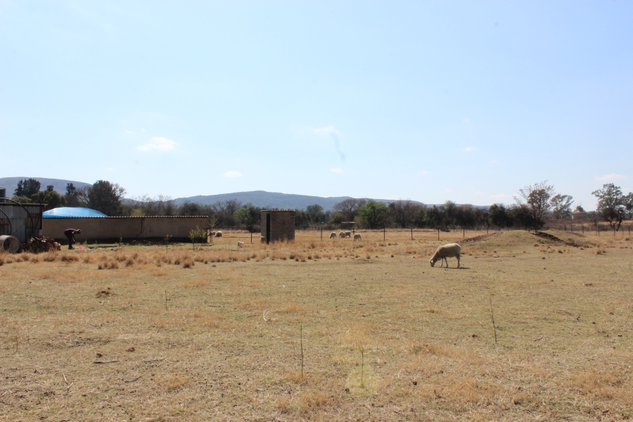 6 Bedroom Property for Sale in Swacina Park A H Gauteng