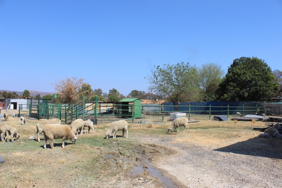 6 Bedroom Property for Sale in Swacina Park A H Gauteng