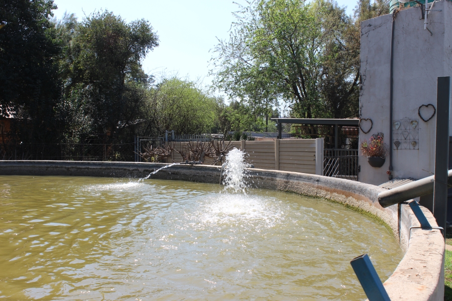 6 Bedroom Property for Sale in Swacina Park A H Gauteng