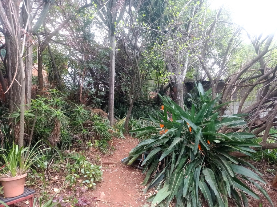 3 Bedroom Property for Sale in Mountain View Gauteng