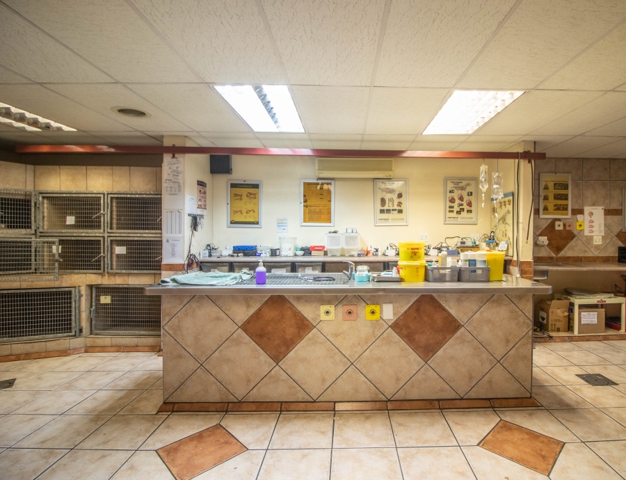 Commercial Property for Sale in Parkdene Gauteng