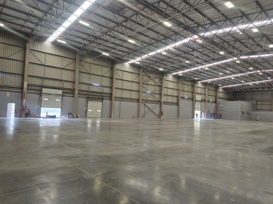 To Let Commercial Property for Rent in Longmeadow Gauteng