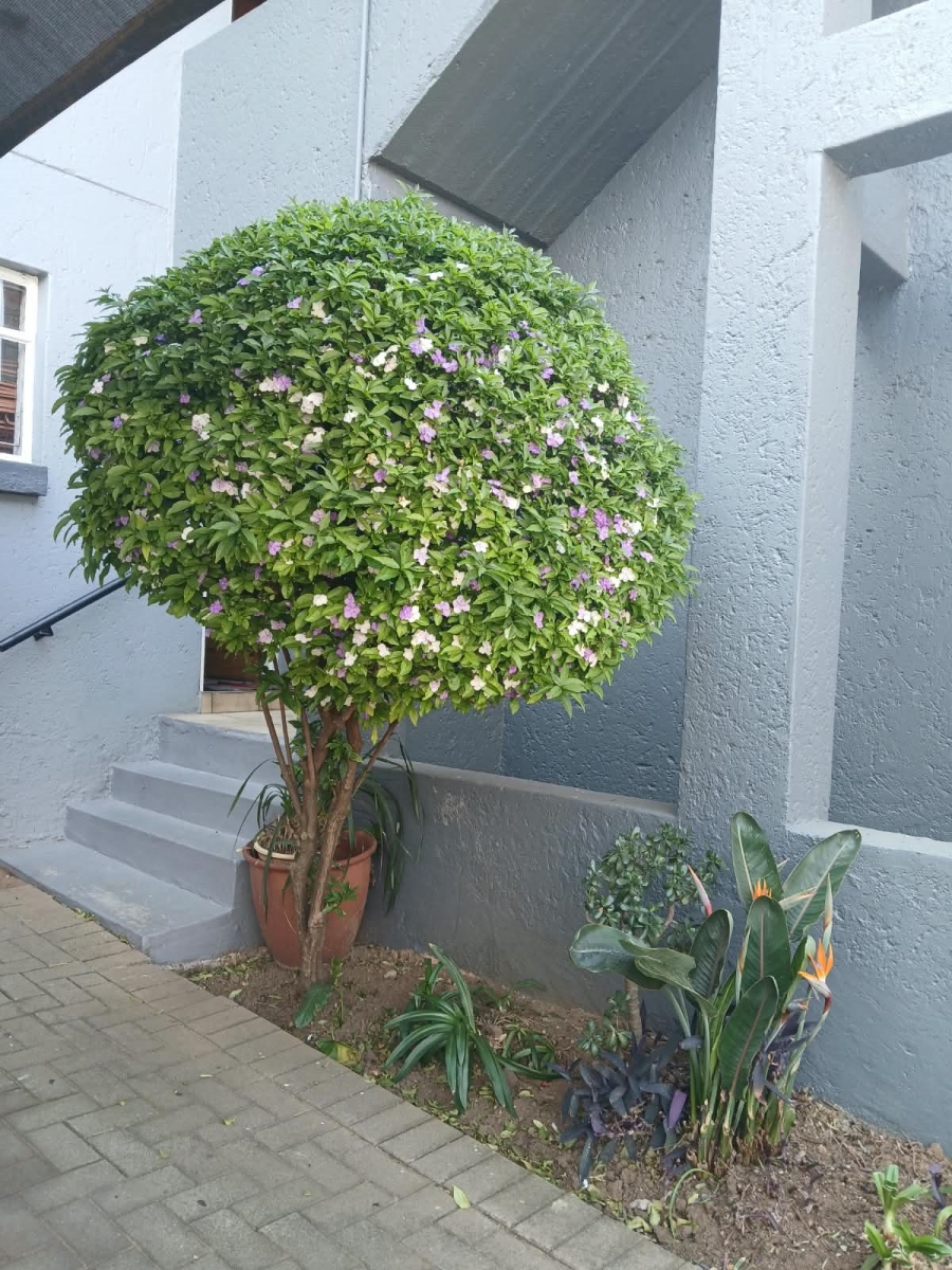 3 Bedroom Property for Sale in Linmeyer Gauteng