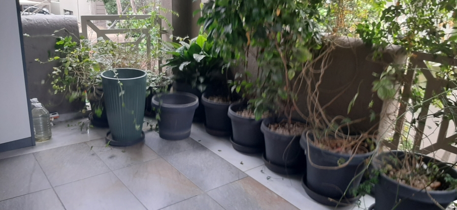 To Let 3 Bedroom Property for Rent in Morningside Gauteng