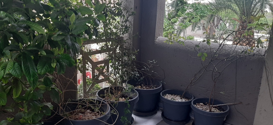 To Let 3 Bedroom Property for Rent in Morningside Gauteng