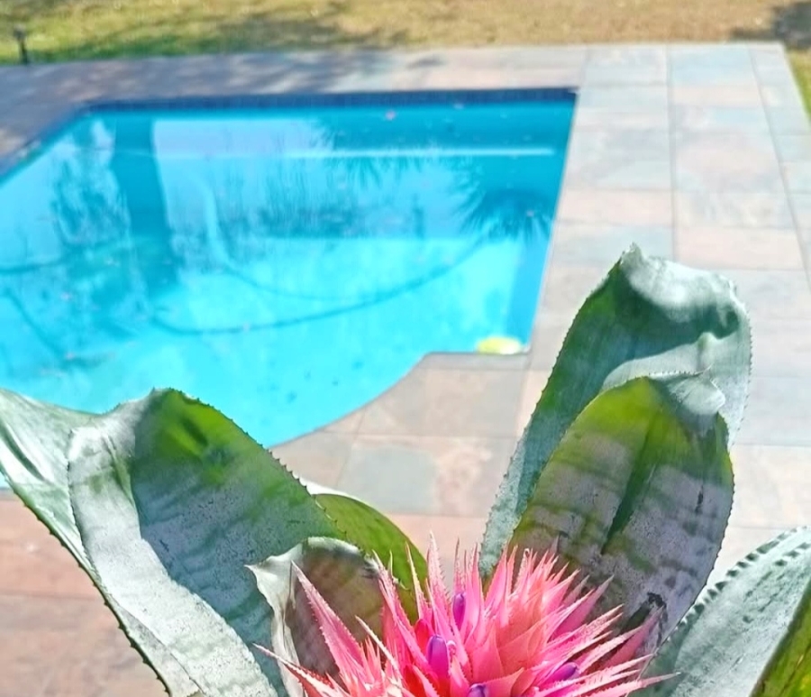 3 Bedroom Property for Sale in Risiville Gauteng