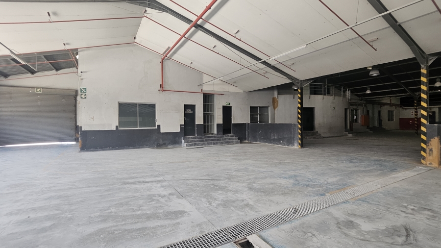 To Let Commercial Property for Rent in Silverton Gauteng