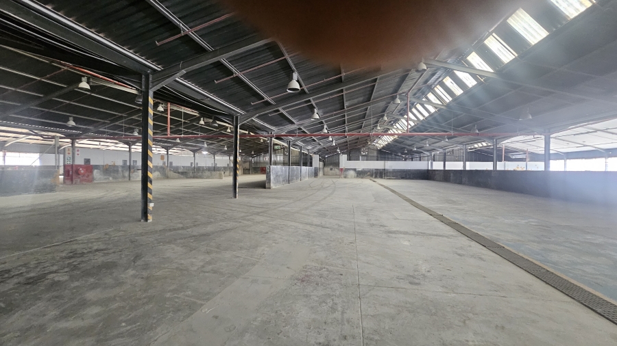 To Let Commercial Property for Rent in Silverton Gauteng