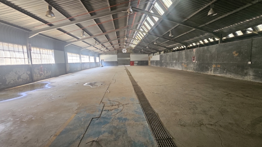 To Let Commercial Property for Rent in Silverton Gauteng