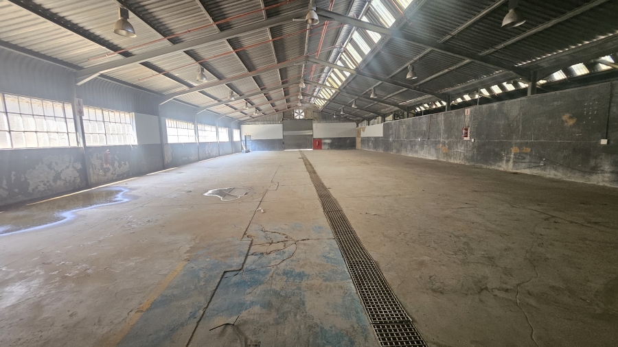 To Let Commercial Property for Rent in Silverton Gauteng