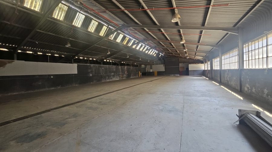 To Let Commercial Property for Rent in Silverton Gauteng