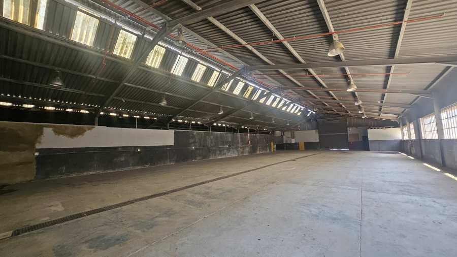 To Let Commercial Property for Rent in Silverton Gauteng