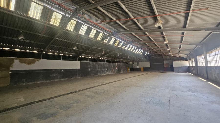 To Let Commercial Property for Rent in Silverton Gauteng