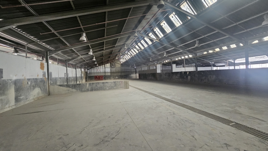 To Let Commercial Property for Rent in Silverton Gauteng