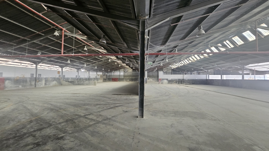 To Let Commercial Property for Rent in Silverton Gauteng