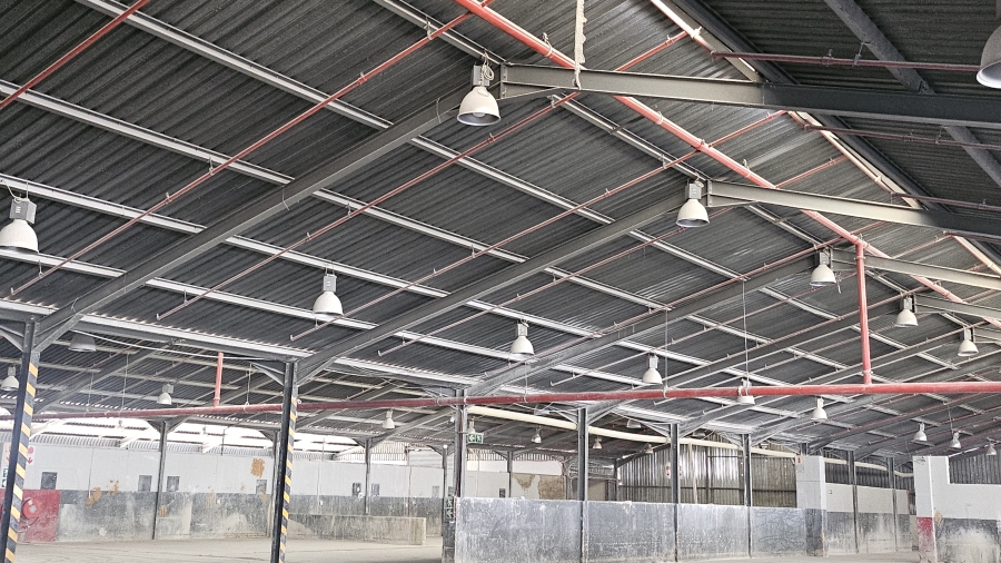 To Let Commercial Property for Rent in Silverton Gauteng