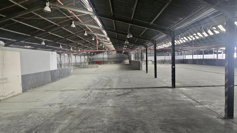 To Let Commercial Property for Rent in Silverton Gauteng