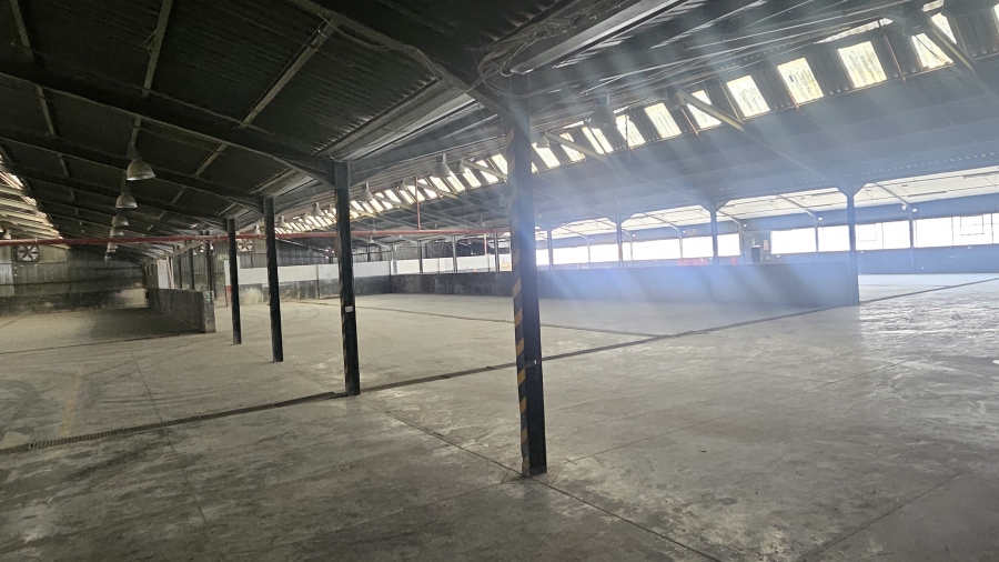 To Let Commercial Property for Rent in Silverton Gauteng