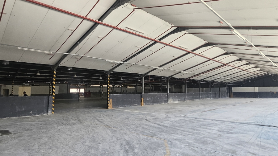 To Let Commercial Property for Rent in Silverton Gauteng
