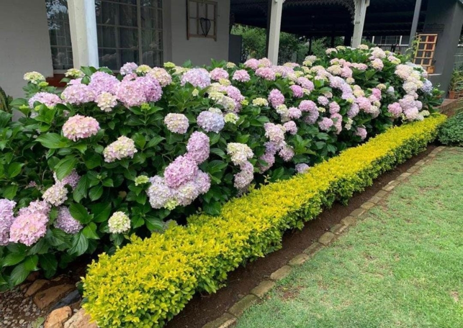 5 Bedroom Property for Sale in Cullinan Gauteng