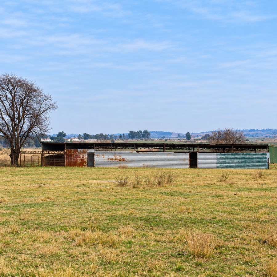 3 Bedroom Property for Sale in Witkop Gauteng