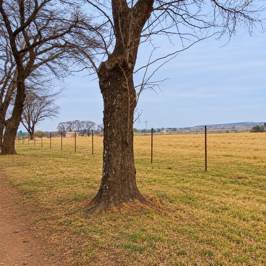 3 Bedroom Property for Sale in Witkop Gauteng