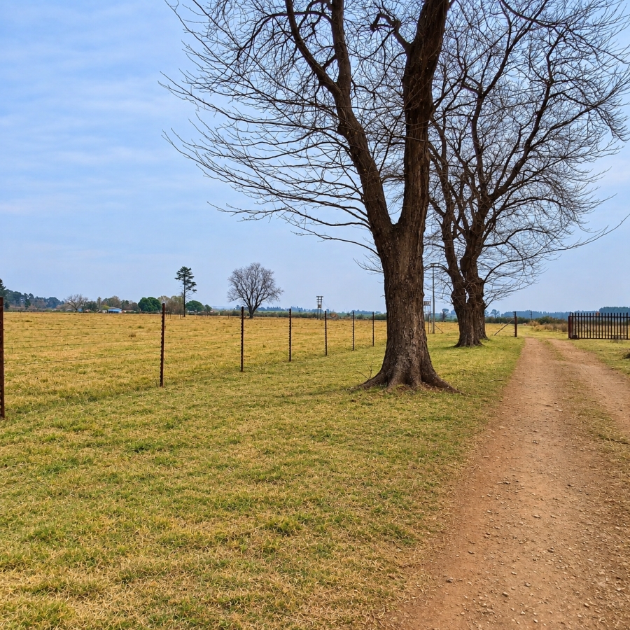 3 Bedroom Property for Sale in Witkop Gauteng